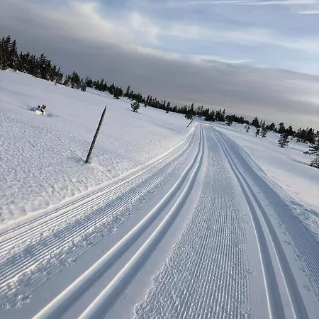 Staeren 32 Løten